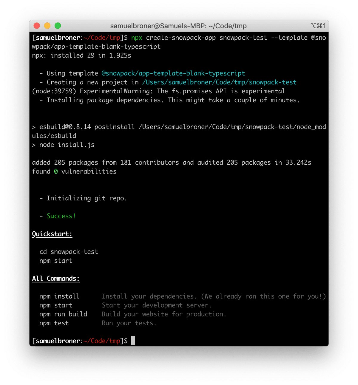 Command line interface showing successful installation